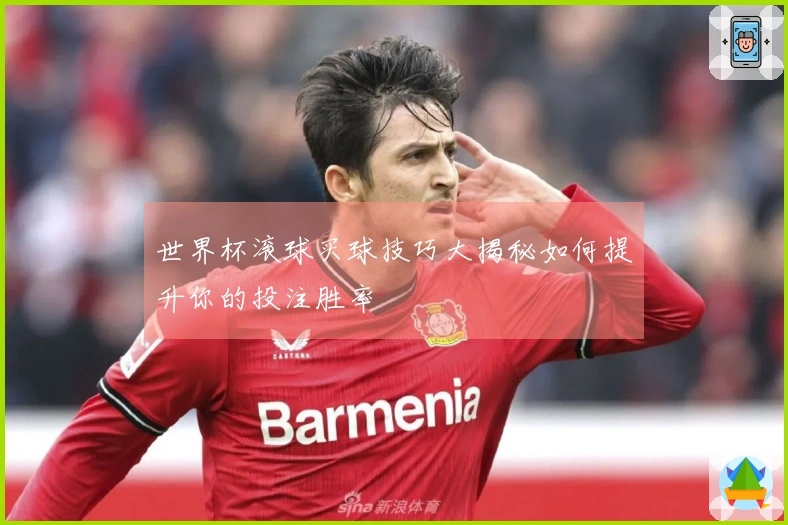 世界杯滚球买球技巧大揭秘如何提升你的投注胜率