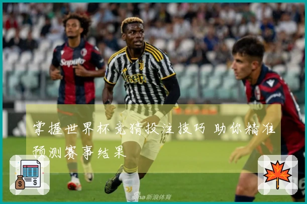 掌握世界杯竞猜投注技巧 助你精准预测赛事结果