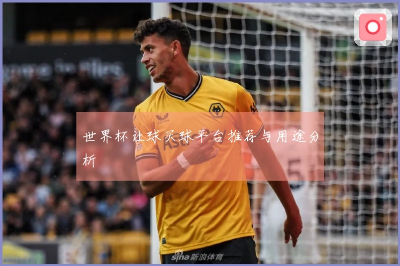 世界杯让球买球平台推荐与用途分析