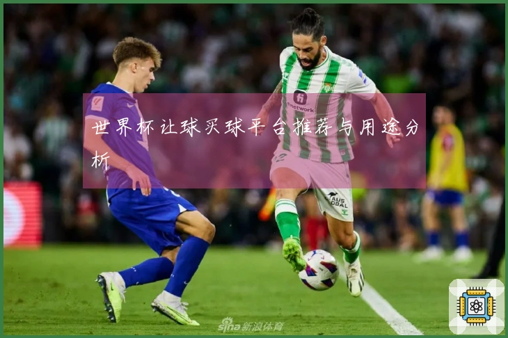 世界杯让球买球平台推荐与用途分析