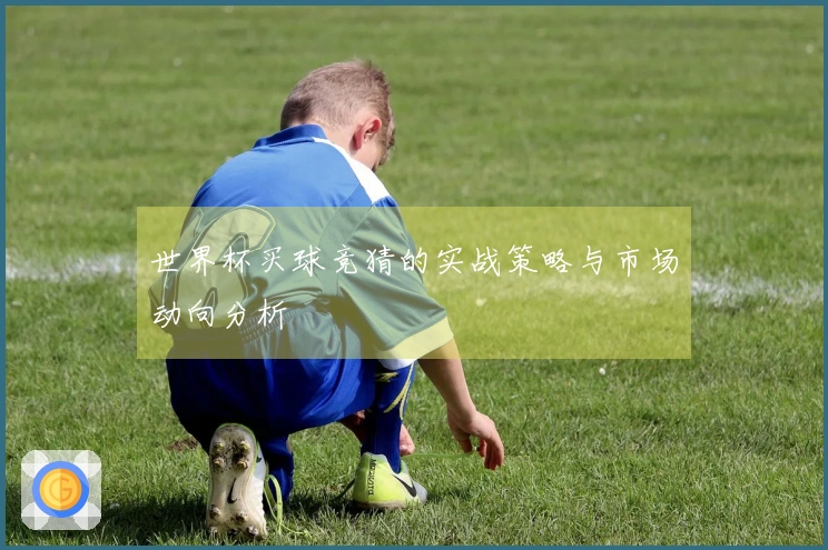 世界杯买球竞猜的实战策略与市场动向分析