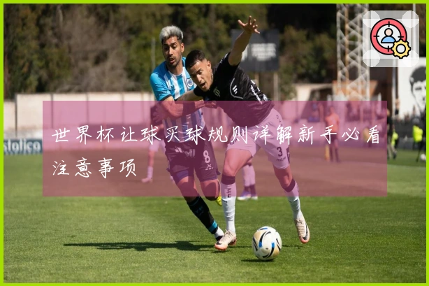 世界杯让球买球规则详解新手必看注意事项