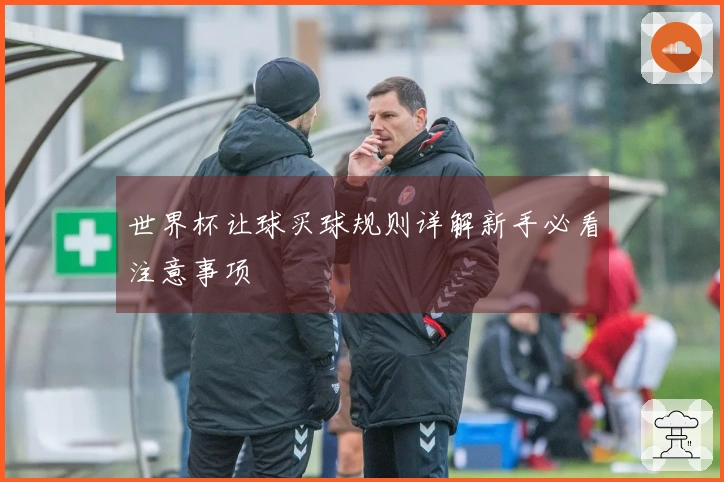 世界杯让球买球规则详解新手必看注意事项